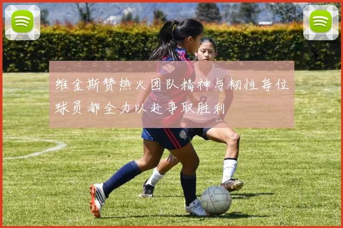 维金斯赞热火团队精神与韧性每位球员都全力以赴争取胜利