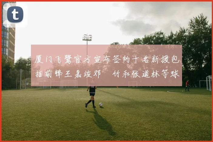 厦门飞鹭官方宣布签约十名新援包括前锋王嘉竣邓棽竹和张道林等球员